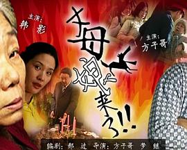 爱丽丝城市漫游记